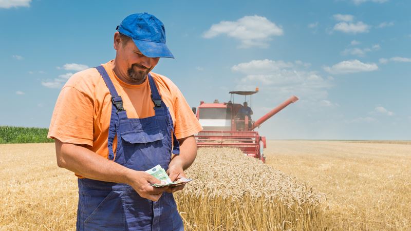 Farmer with Money