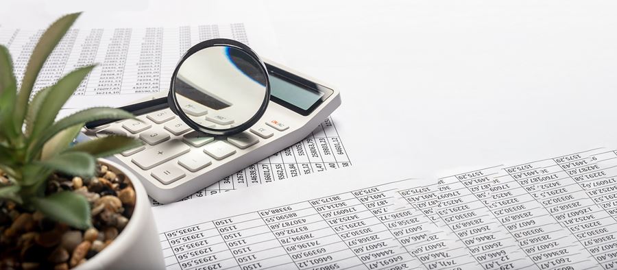 balance sheet, calculator, glasses and a plant on a table