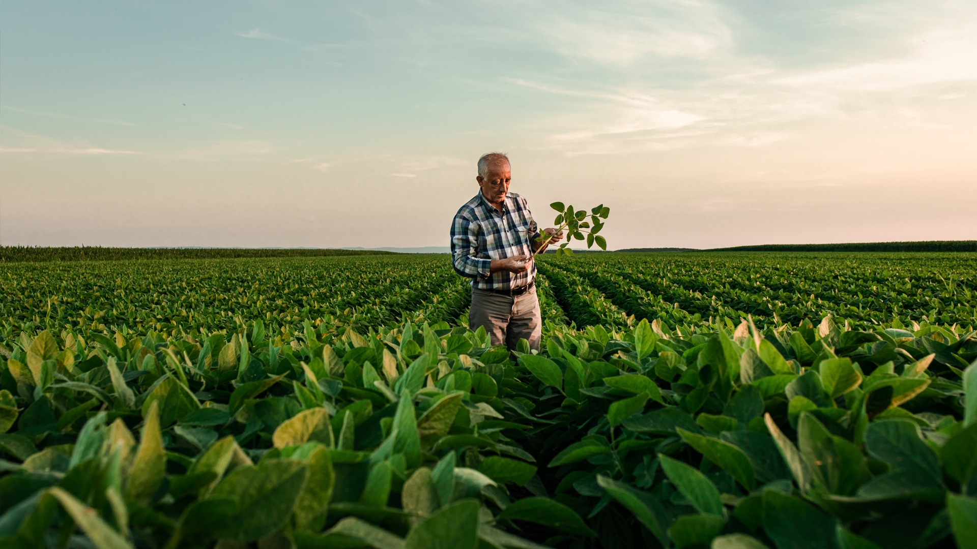 man in field