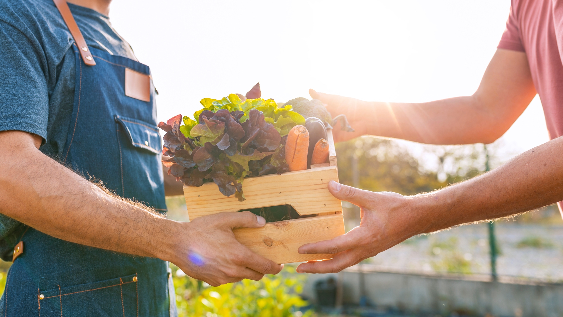 handing off food loan